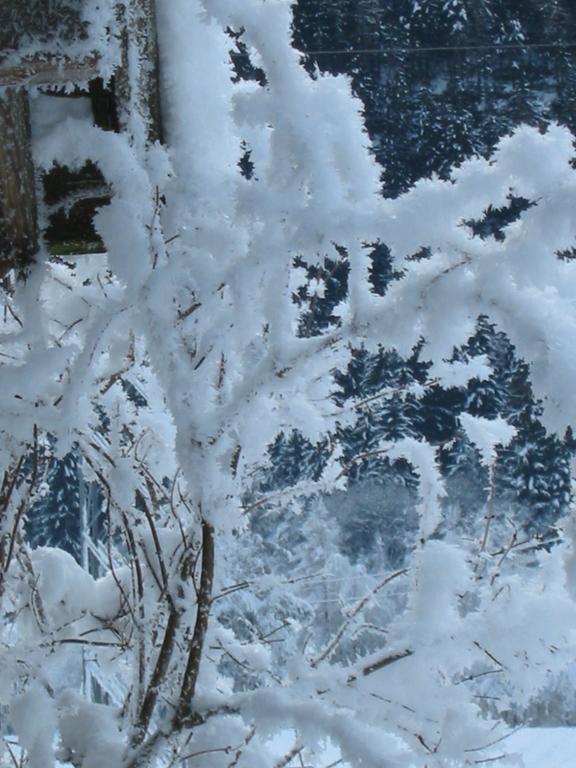 Berghaus Drei Tannen Hotel เอิทซ์ ภายนอก รูปภาพ